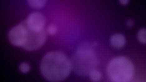 Purple Bokeh Background - Free Video Footage
